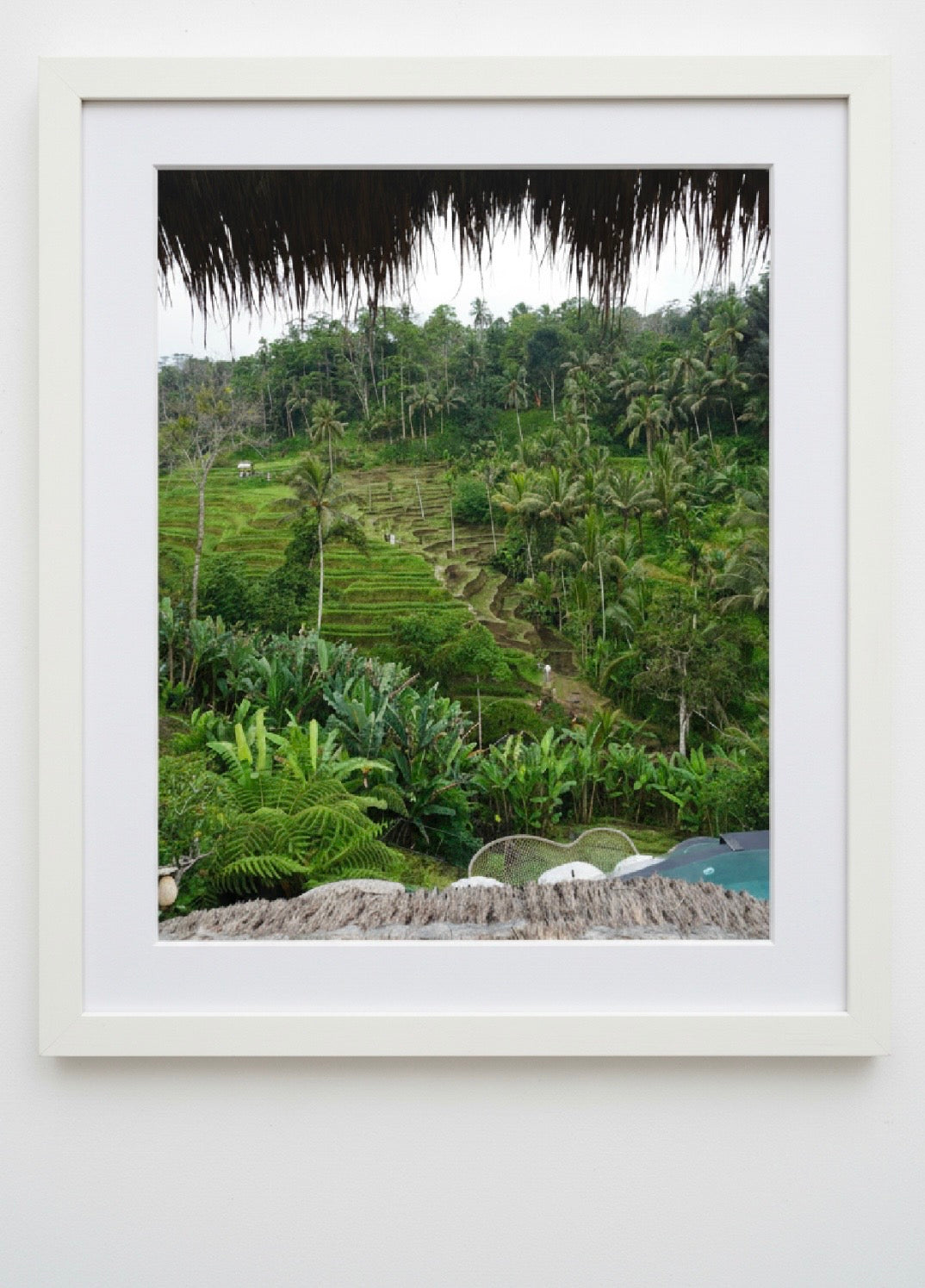 RICE FIELDS