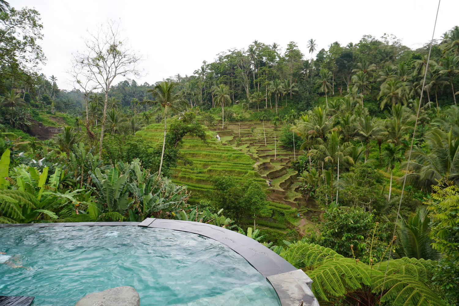 BALI