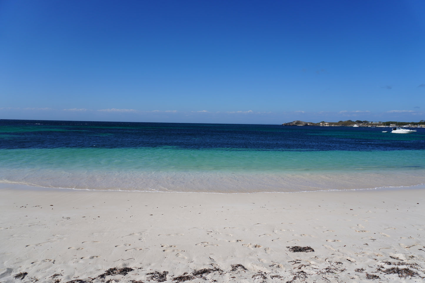 AUSSIE SUMMER